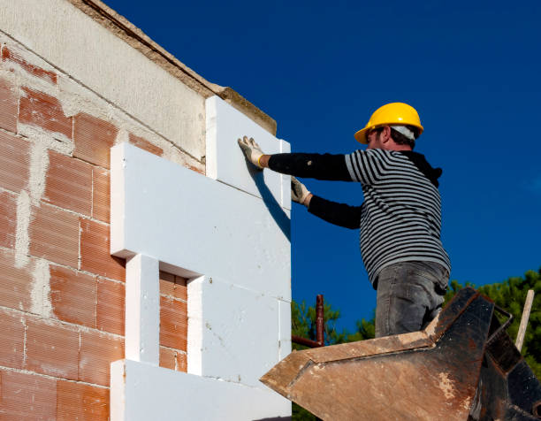Best Insulation Inspection Services  in Emmaus, PA
