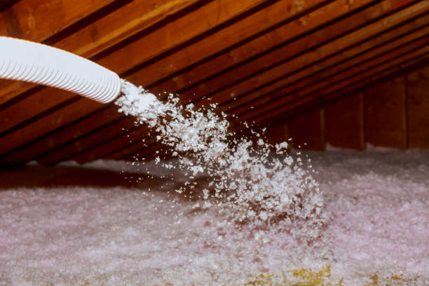 Best Energy-efficient Insulation  in Emmaus, PA