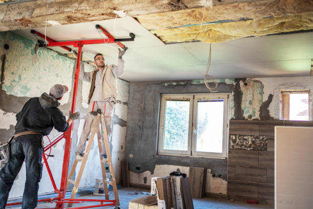 Best Home Insulation Services  in Emmaus, PA