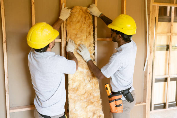 Best Wall Insulation Contractor  in Emmaus, PA