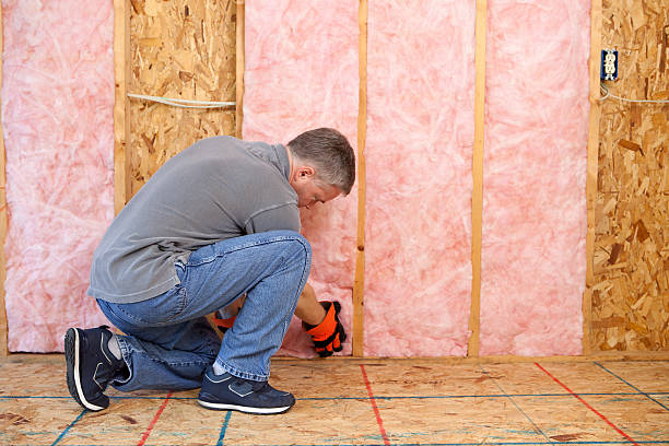 Best Insulation Repair Services  in Emmaus, PA