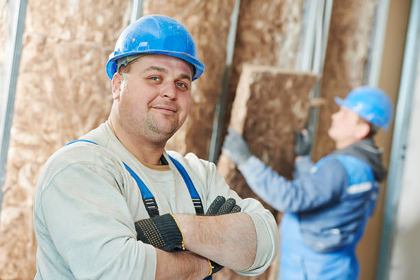 Best Blown-in Insulation  in Emmaus, PA